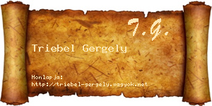 Triebel Gergely névjegykártya